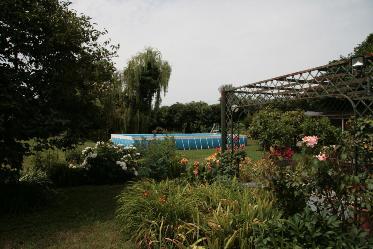 Pietrasanta - Versilia - Villa Arzilla Garden Con Piscina Tonfano Ngoại thất bức ảnh