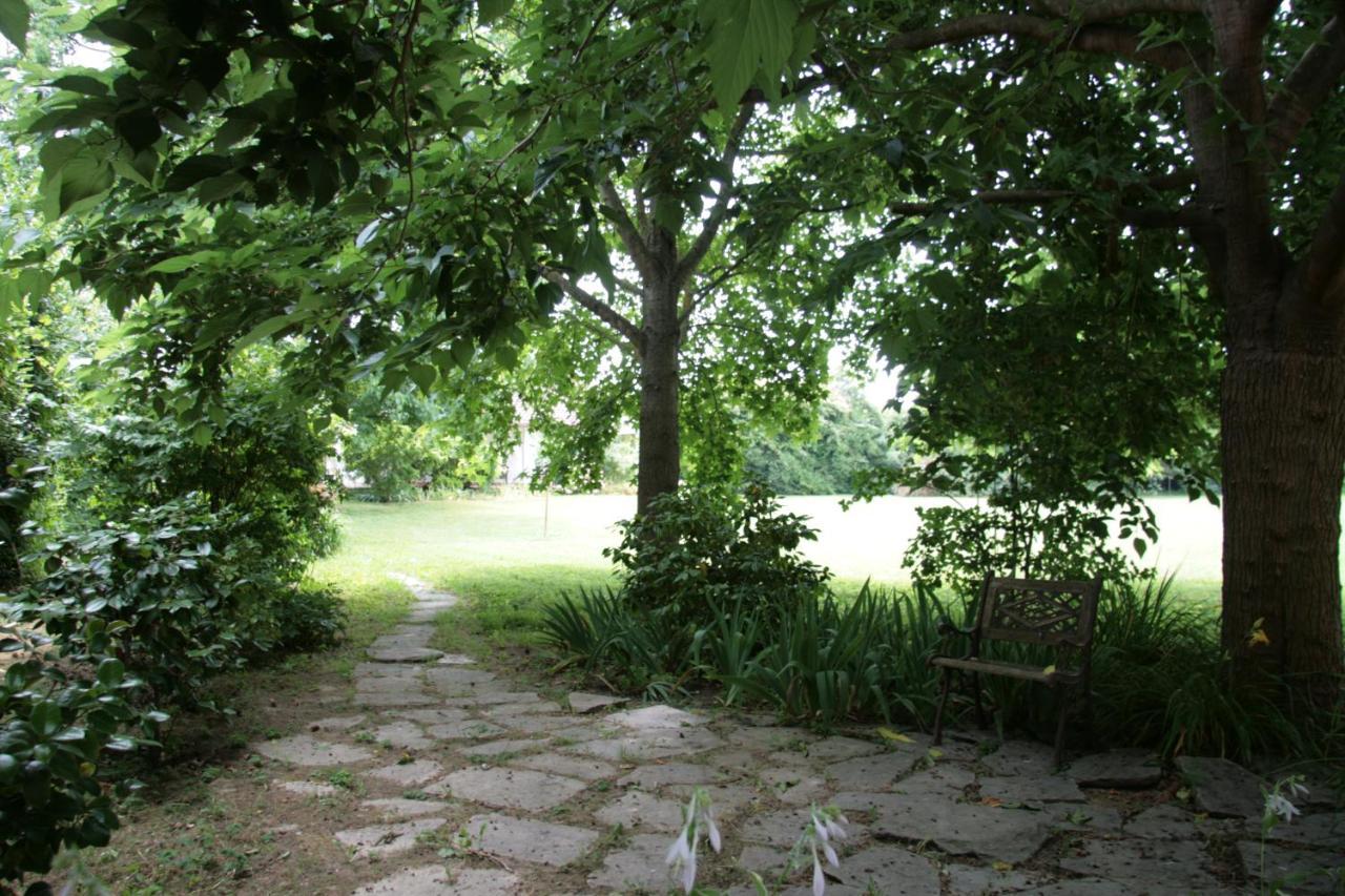 Pietrasanta - Versilia - Villa Arzilla Garden Con Piscina Tonfano Ngoại thất bức ảnh