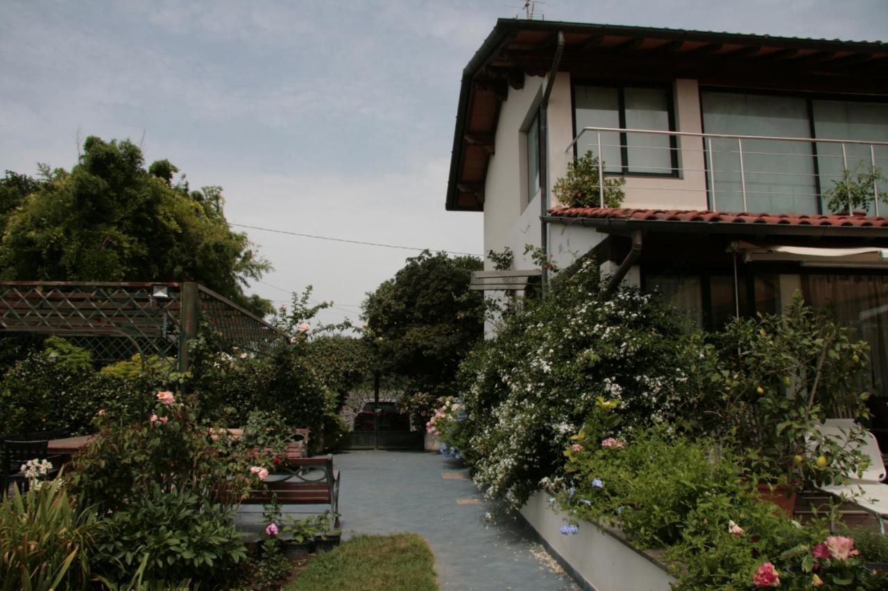 Pietrasanta - Versilia - Villa Arzilla Garden Con Piscina Tonfano Ngoại thất bức ảnh