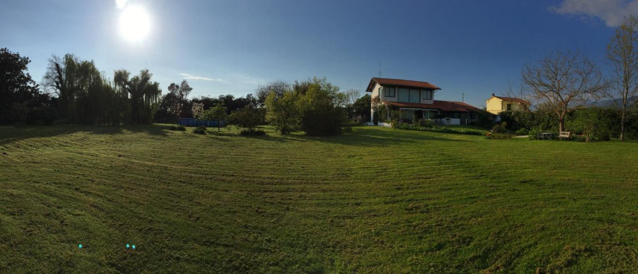 Pietrasanta - Versilia - Villa Arzilla Garden Con Piscina Tonfano Ngoại thất bức ảnh